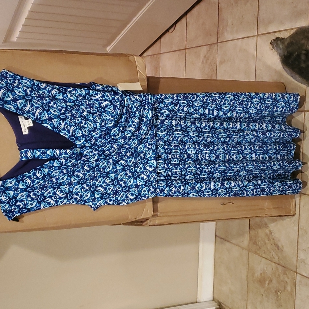 Coldwater Dress size 14